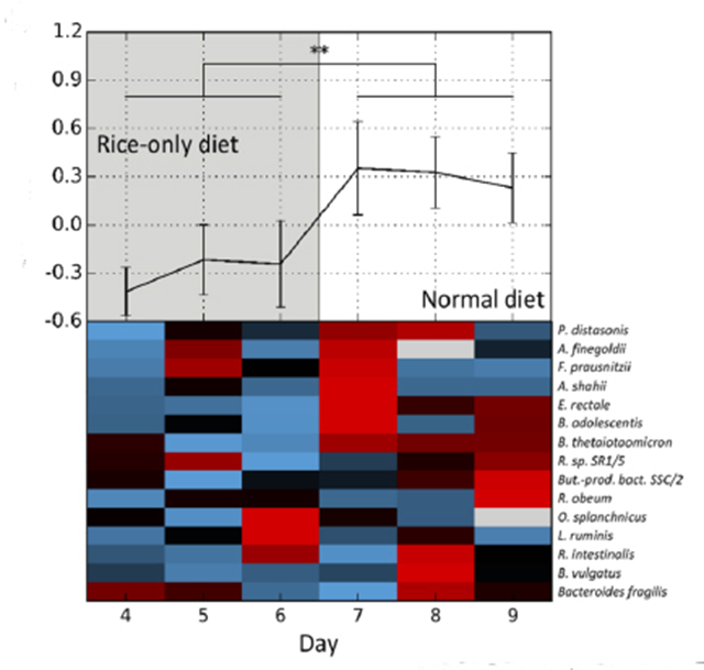 How Does Your Microbiome Grow?