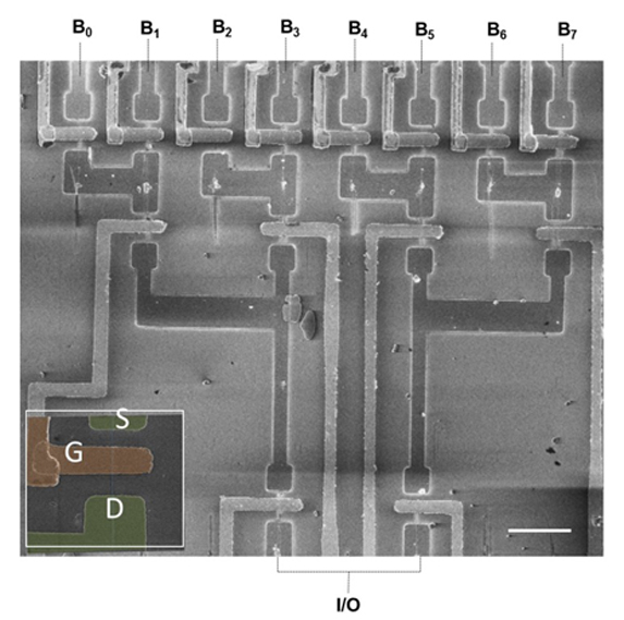 (SEM) image of a logic circuit