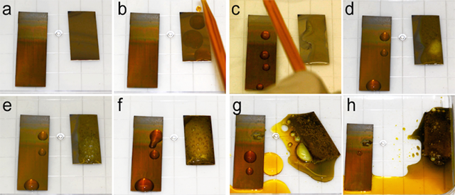 corrosion test