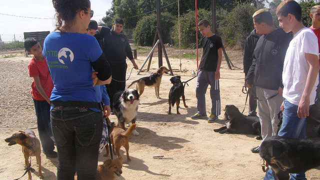 Dogs for People therapy session.