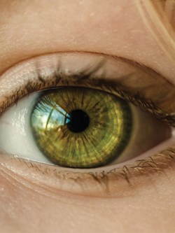 PICT0087-ARTIFICIAL-EYE-EYE-345x460px-V1.jpg