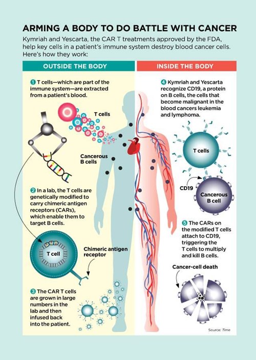 Arming the Body