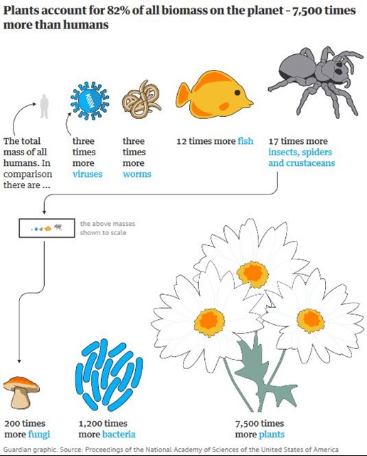 biomass infographic