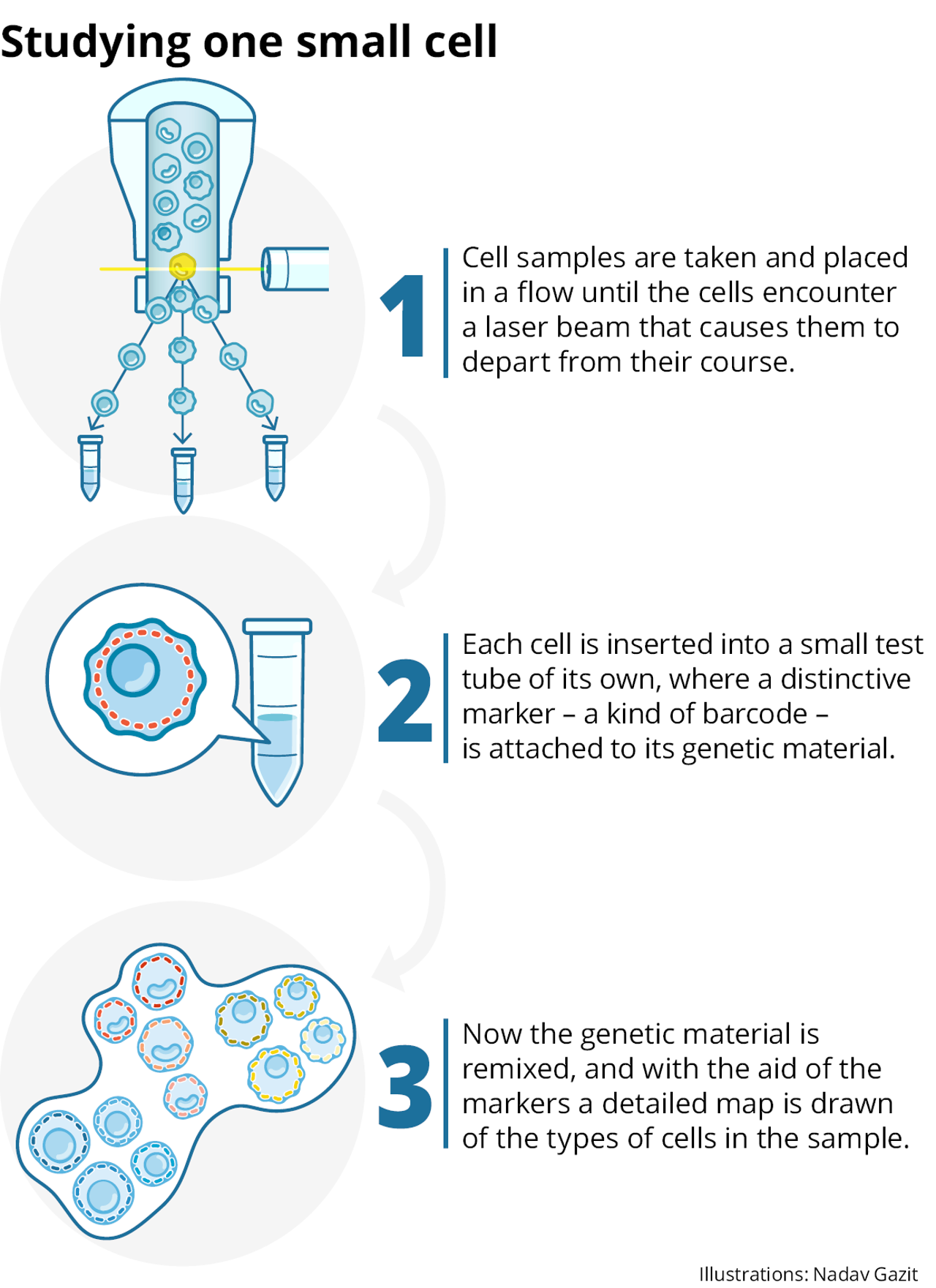 Cell Whisperer 3