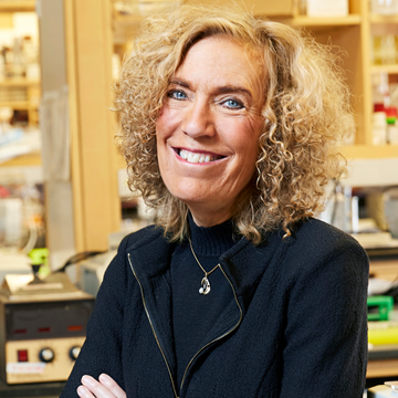 Prof Elaine Fuchs Crop