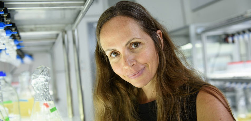 Dr. Einat Segev